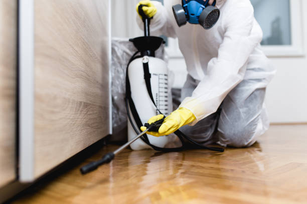 Best Best Pest Control Near Me  in Preston, ID
