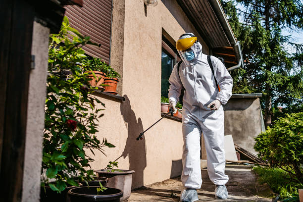 Best Pest Removal Services  in Preston, ID