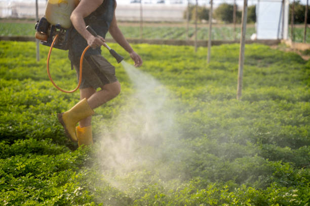 Best Pest Control Near Me in Preston, ID