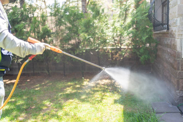 Best Pest Inspection Near Me  in Preston, ID